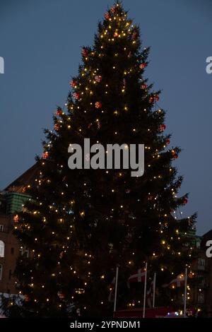 Un arbre de Noël est illuminé sur la place de l'Hôtel de ville à Copenhague, Danemark, le 1er décembre 2024 place de l'Hôtel de ville à Copenhague Copyright : xKristianxTuxenxLadegaardxBergx 2E6A7766 Banque D'Images