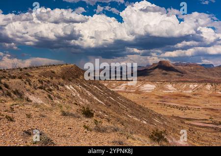 Neige poussiéreuse les sommets du canyon dans le désert de Chihuahuan au parc national de Big Bend. Banque D'Images