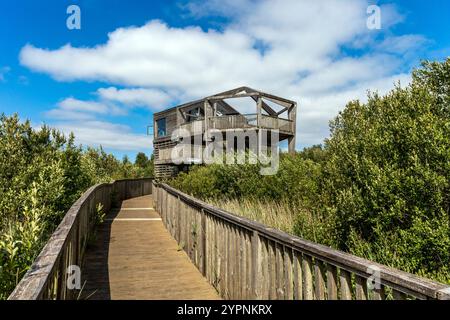 Dyfi Wildlife Centre ; Powys ; pays de Galles ; Royaume-Uni Banque D'Images