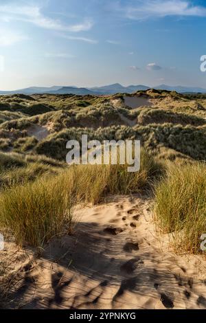 Morfa Harlech ; Gwynedd ; pays de Galles ; Royaume-Uni Banque D'Images