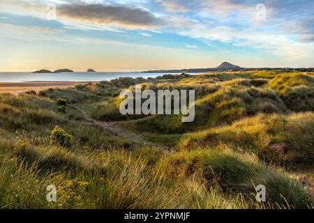 Yellowcraig ; Dunes ; East Lothian ; Écosse ; Royaume-Uni Banque D'Images