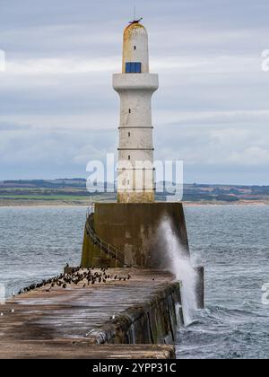 Phare d'Aberdeen South Pier, Aberdeen, Écosse, Royaume-Uni Banque D'Images