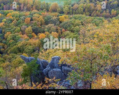 Une vue imprenable depuis Seneca Rocks capture une forêt aux couleurs d'automne et un paysage rocheux en Virginie occidentale, aux États-Unis. Banque D'Images