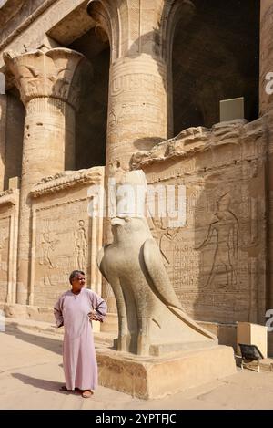 Edfou, Egypte ; 1 décembre 2024 - un égyptien se tient à côté d'une énorme statue de granit d'Horus à Edfou, Egypte. La statue est située dans la cour intérieure Banque D'Images