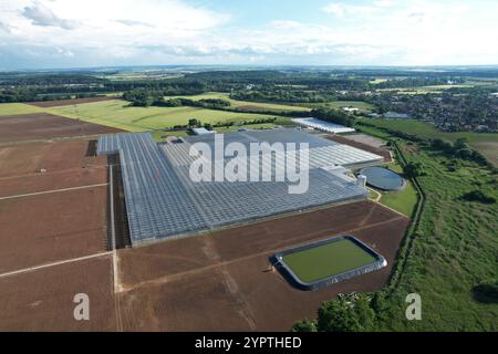 Serres en verre d'en haut par temps ensoleillé, grandes maisons en verre de vue panoramique aérienne, agriculture moderne intensive en Europe Banque D'Images