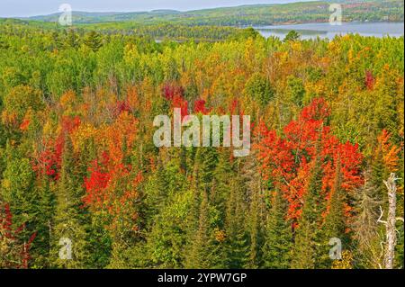 Couleurs d'automne commençant dans les grands bois du Nord sur le lac Gunflint dans le Minnesota Banque D'Images