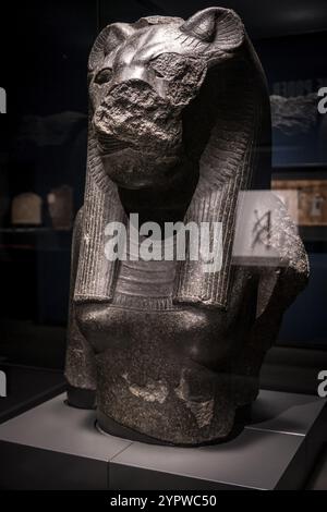 Fragment d'une statue de la déesse Sekhmet, granit noir, XVIIIe dynastie régnant Amenhotep III, Temple de Mut, Karnak, Thèbes, Egypte, collection de t Banque D'Images