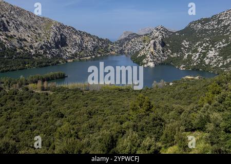 Canal de transvase del embalse de Gorg Blau al embalse de Cuber, Escorca, Paraje Natural de la Serra de Tramuntana, Majorque, Îles baléares, Espagne Banque D'Images