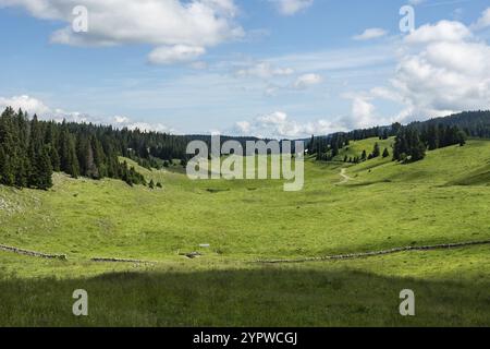 Un paysage typique dans les montagnes du Jura suisse. Une large vallée utilisée comme terre agricole avec un fond rond Banque D'Images