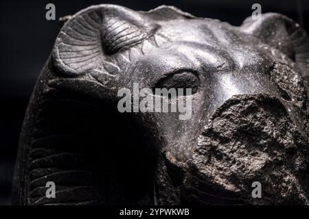 Fragment d'une statue de la déesse Sekhmet, granit noir, XVIIIe dynastie régnant Amenhotep III, Temple de Mut, Karnak, Thèbes, Egypte, collection de t Banque D'Images