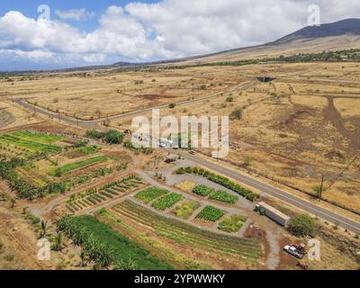 Vue aérienne du paysage jaune sec et de la montagne pendant l'été chaud dans la côte ouest de Maui. Hawaï, États-Unis, Amérique du Nord Banque D'Images