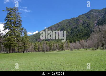 Printemps dans les montagnes caucasiennes. Quartier du village Arkhyz. Karachay-Tcherkessia, Caucase du Nord, Russie. Journée ensoleillée début mai Banque D'Images