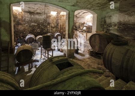 Caves originales de Palo Ripoll, Llucmajor, Majorque, Îles Baléares, Espagne, Europe Banque D'Images