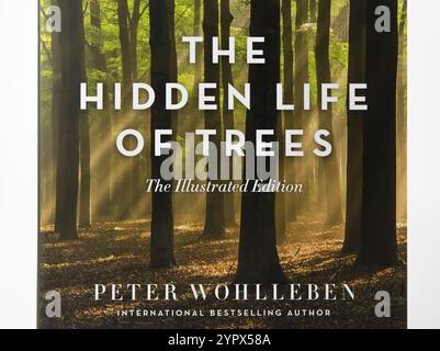 Nova Bana, Slovaquie, 31 décembre 2023 : la vie cachée des arbres, livre écrit par Peter Wohlleben, isolé sur fond blanc. Couverture de livre, Europe Banque D'Images