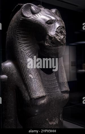 Fragment d'une statue de la déesse Sekhmet, granit noir, XVIIIe dynastie régnant Amenhotep III, Temple de Mut, Karnak, Thèbes, Egypte, collection de t Banque D'Images