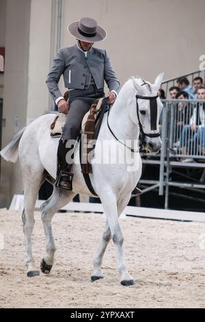 Madrid, Espagne. 30 novembre 2024. Un cavalier et son cheval lors de la compétition doma vaquera à Madrid Horse week, à IFEMA, le 30 novembre 2024 à Madrid, Espagne. Crédit : Sipa USA/Alamy Live News Banque D'Images