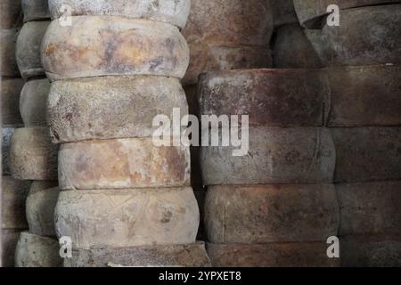 Fromage frais sur rack dans l'entrepôt d'usine. Affinage des meules à fromage Banque D'Images