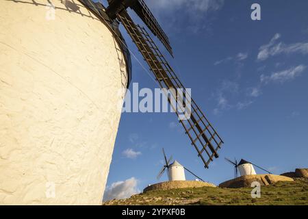 Molinos de Consuegra, cerro Calderico, Consuegra, provincia de Toledo, Castilla-la Mancha, Espagne, Europe Banque D'Images