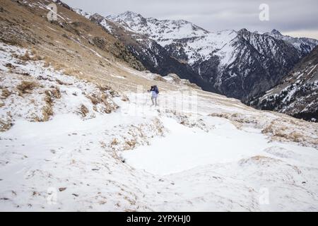 Puerto Viejo de Bielsa, Huesca, Aragon, cordillera de los Pirineos, Espagne, Europe Banque D'Images