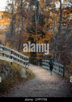 Femme marchant le long d'un sentier de montagne à travers le feuillage forestier d'automne Banque D'Images