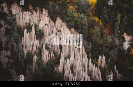 Pyramides de terre nichées dans la forêt de pins : scène unique et pittoresque dans les Dolomites, en Italie, parfait pour capturer la beauté de la nature Banque D'Images