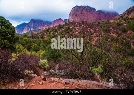 Les magnifiques falaises de roche rouge de Kolob Canyon (partie du parc national de Zions), également les monolithes du parc d'État de Snow Canyon, à Ivins, UT. ÉTATS-UNIS Banque D'Images