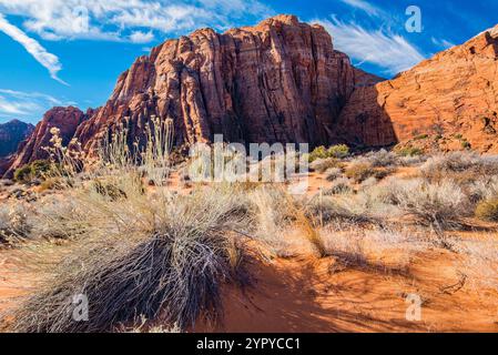 Les magnifiques falaises de roche rouge de Kolob Canyon (partie du parc national de Zions), également les monolithes du parc d'État de Snow Canyon, à Ivins, UT. ÉTATS-UNIS Banque D'Images