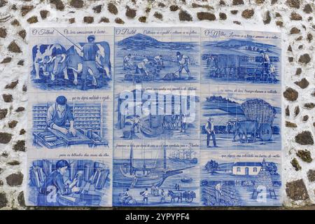 Fragment de mur de bâtiment avec des carreaux Azulejo en céramique colorés. Architecture portugaise traditionnelle ornée dans l'île de Terceira. Patrimoine du Portugal Banque D'Images