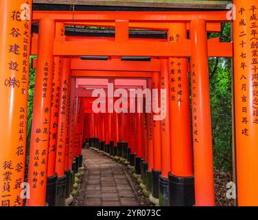 Sanctuaire Fushimi Inari Taisha Kyoto Japon Banque D'Images