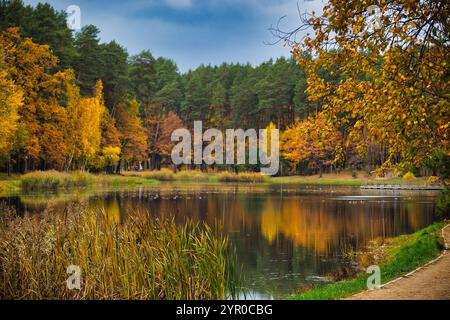 Une scène automnale tranquille avec des arbres colorés reflétant dans un lac serein, entouré par un cadre forestier paisible. Banque D'Images
