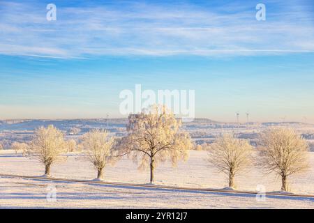 Route de campagne bordée d'arbres givrés dans une vue de paysage enneigé Banque D'Images