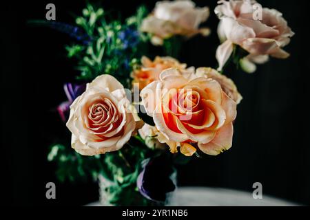 Photo basse clé du bouquet rose orange rose sur fond noir Banque D'Images