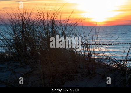 Sonnenuntergang AM 1. Avent 2024 im Ostseebad Wustrow, Fischland, Darß, Mecklenburg-Vorpommern Abendstimmung Ostsee *** coucher de soleil le 1 Avent 2024 dans la station balnéaire balte de Wustrow, Fischland, Darß, Mecklenburg-Vorpommern Evening Mood mer Baltique 20241201-DSC 8778 Banque D'Images