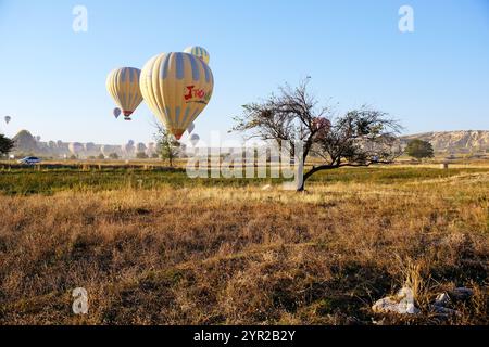 Montgolfières et paysage en Cappadoce Banque D'Images