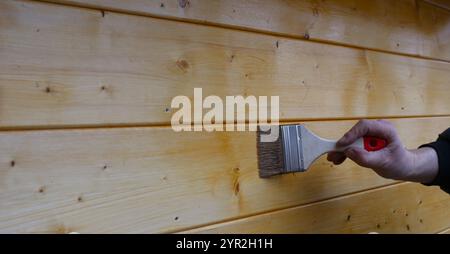 une main dans des vêtements sombres avec une brosse vernit une surface de planche de bois d'un mur d'une dépendance ou d'une grange, vernissant un mur en planche de bois clair Banque D'Images