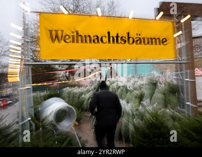 02 décembre 2024, Hambourg : un homme vendant des arbres de Noël à côté d'un marché de Noël par temps nuageux et pluie légère (prise de vue avec une vitesse d'obturation lente et une caméra mobile). Photo : Christian Charisius/dpa Banque D'Images