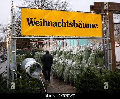 02 décembre 2024, Hambourg : un homme vend des arbres de Noël à côté d'un marché de Noël par temps nuageux et pluie légère. Photo : Christian Charisius/dpa Banque D'Images