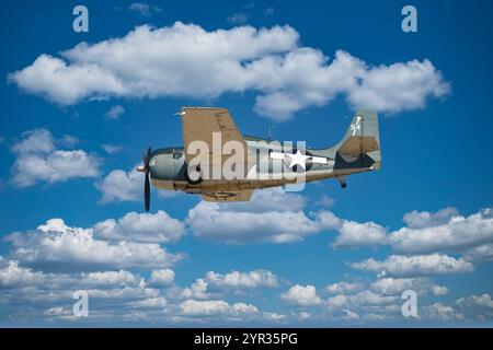 1940s US Navy Grumman F4F Wildcat en patrouille Banque D'Images