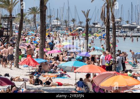 Eindrücke vom Strand in Playa de Palma auf der Insel Mallorca zur Hauptsaison im Sommer 2024 - Strandabschnitt in S ArenalMittelmeerinsel Mallorca während der Hauptsaison im Juli 2024, Palma Mallorca Spanien Playa de Palma *** impressions de la plage à Playa de Palma sur l'île de Majorque pendant la haute saison en été 2024 section plage à S Arenal île méditerranéenne Majorque pendant la haute saison en juillet 2024, Palma Mallorca Espagne Playa de Palma Banque D'Images