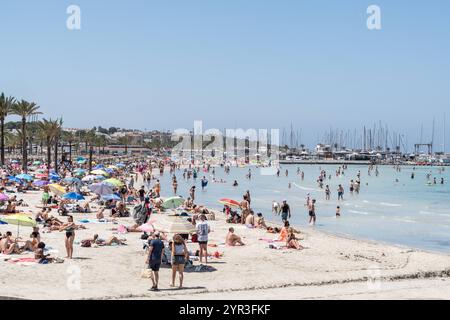 Eindrücke vom Strand in Playa de Palma auf der Insel Mallorca zur Hauptsaison im Sommer 2024 - Strandabschnitt in S ArenalMittelmeerinsel Mallorca während der Hauptsaison im Juli 2024, Palma Mallorca Spanien Playa de Palma *** impressions de la plage à Playa de Palma sur l'île de Majorque pendant la haute saison en été 2024 section plage à S Arenal île méditerranéenne Majorque pendant la haute saison en juillet 2024, Palma Mallorca Espagne Playa de Palma Banque D'Images