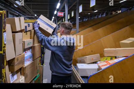 02 décembre 2024, Brandenburg, Rüdersdorf : un employé charge un chariot avec des colis et des colis triés au centre de colis DHL. Quelques semaines avant Noël, le service de livraison de DHL livre actuellement environ un demi-million de colis par jour dans la région de la capitale. Les volumes de colis pour Berlin et une grande partie du Brandebourg sont traités par les trois centres de colis DHL à Ludwigsfelde, Rüdersdorf et Börnicke. En conséquence, environ 32 000 envois par heure sont traités sur ces sites logistiques, et pas moins de 50 000 à Ludwigsfelde. Photo : Patrick Pleul/dpa Banque D'Images