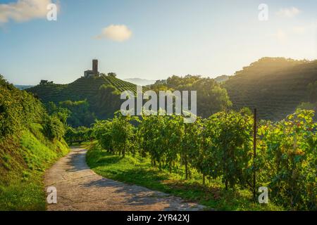 Prosecco Hills, vignobles, route de campagne et église San Lorenzo au sommet de la colline. Site classé au patrimoine mondial de l'UNESCO. Farra di Soligo. Région de Vénétie, Ita Banque D'Images