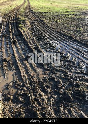 Champ boueux avec de grosses traces de pneus endommageant le sol par une journée ensoleillée en novembre, North Yorkshire, Angleterre , Royaume-Uni Banque D'Images