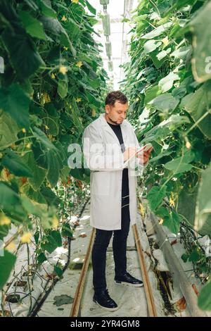 Un chercheur spécialisé dans l'agriculture, travaillant spécifiquement dans une serre, recueille diligemment des données précieuses sur les plants de concombre Banque D'Images