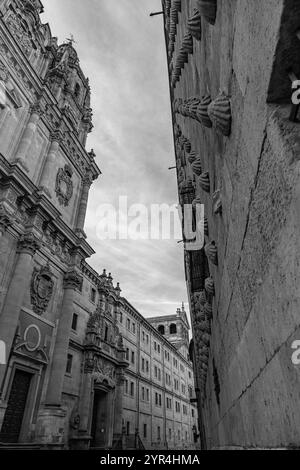 La Clerecia est un bâtiment baroque de l'ancien Collège royal de l'Esprit Saint de la Société de Jésus construit entre les 17th et 18th siècles. Banque D'Images