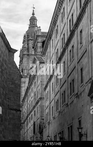 La Clerecia est un bâtiment baroque de l'ancien Collège royal de l'Esprit Saint de la Société de Jésus construit entre les 17th et 18th siècles. Banque D'Images