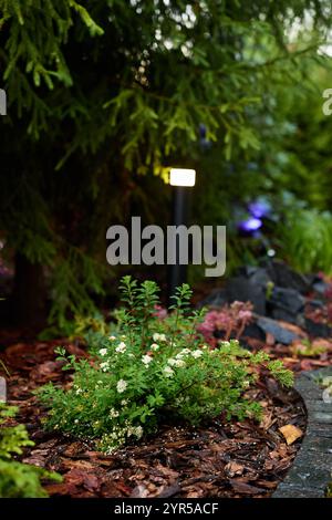 Un magnifique chemin à travers un jardin avec un éclairage ambiant enchanteur et des fleurs luxuriantes Banque D'Images