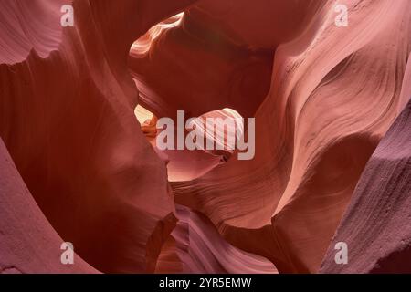 Fascinantes formations de grès dans Antelpoe Canyon, montrant des structures douces et ondulées, Antelope Canyon, Arizona, États-Unis, Amérique du Nord Banque D'Images