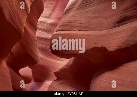 Fascinantes formations de grès dans Antelpoe Canyon, montrant des structures douces et ondulées, Antelope Canyon, Arizona, États-Unis, Amérique du Nord Banque D'Images
