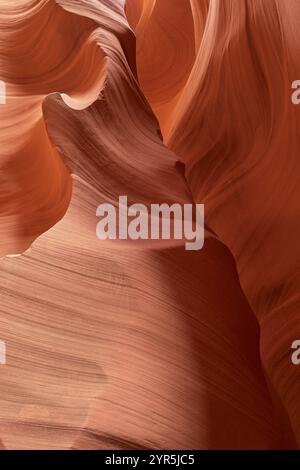 Fascinantes formations de grès dans Antelpoe Canyon, montrant des structures douces et ondulées, Antelope Canyon, Arizona, États-Unis, Amérique du Nord Banque D'Images